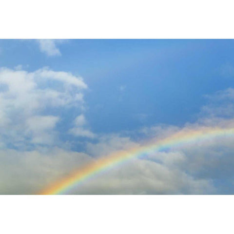 Washington, Seabeck Rainbow in light rainfall White Modern Wood Framed Art Print by Paulson, Don