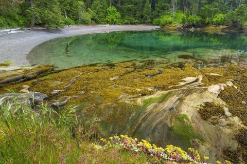 Washington Secluded bay on Sucia Island Black Ornate Wood Framed Art Print with Double Matting by Paulson, Don