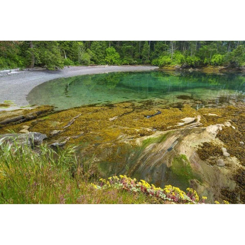 Washington Secluded bay on Sucia Island Black Modern Wood Framed Art Print with Double Matting by Paulson, Don