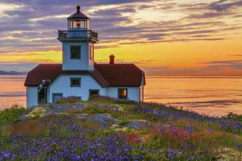Washington, San Juan Islands Patos Lighthouse White Modern Wood Framed Art Print with Double Matting by Paulson, Don