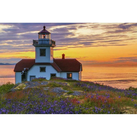 Washington, San Juan Islands Patos Lighthouse White Modern Wood Framed Art Print by Paulson, Don
