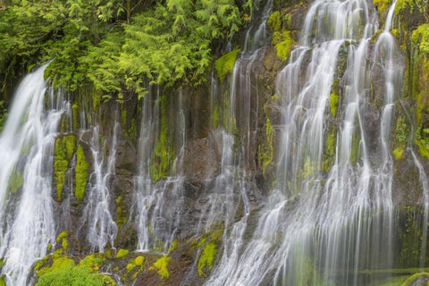 Washington Spring Panther Creek Waterfall White Modern Wood Framed Art Print with Double Matting by Paulson, Don