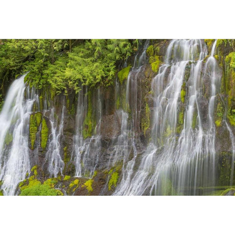 Washington Spring Panther Creek Waterfall White Modern Wood Framed Art Print by Paulson, Don