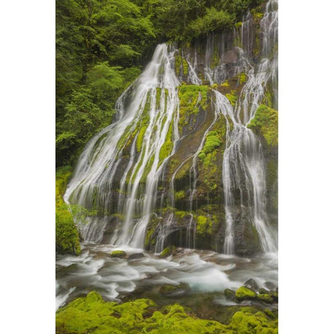 Washington Spring Panther Creek Waterfall Black Modern Wood Framed Art Print with Double Matting by Paulson, Don