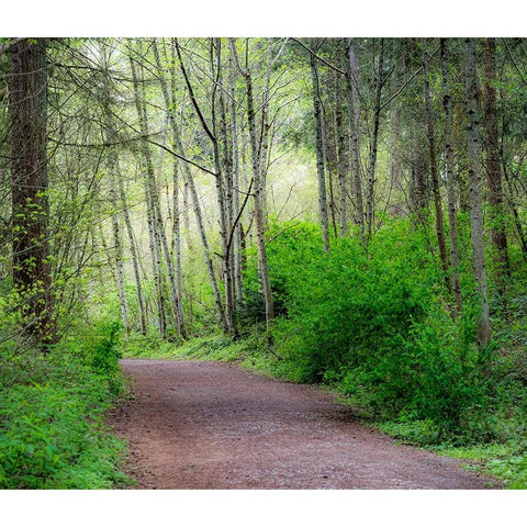 USA-Washington State-Pacific Northwest Sammamish trail along Yellow Lake Gold Ornate Wood Framed Art Print with Double Matting by Gulin, Sylvia