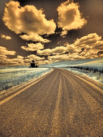 USA-Washington State-Palouse-Country backroad through spring crops Black Ornate Wood Framed Art Print with Double Matting by Eggers, Terry