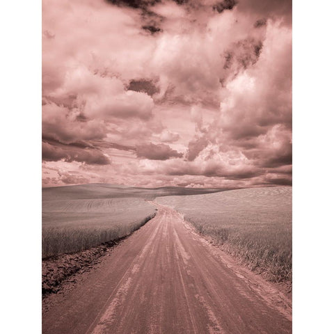 USA-Washington State-Palouse-Country backroad through spring crops White Modern Wood Framed Art Print by Eggers, Terry