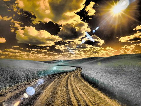USA-Washington State-Palouse-Country backroad through spring crops White Modern Wood Framed Art Print with Double Matting by Eggers, Terry