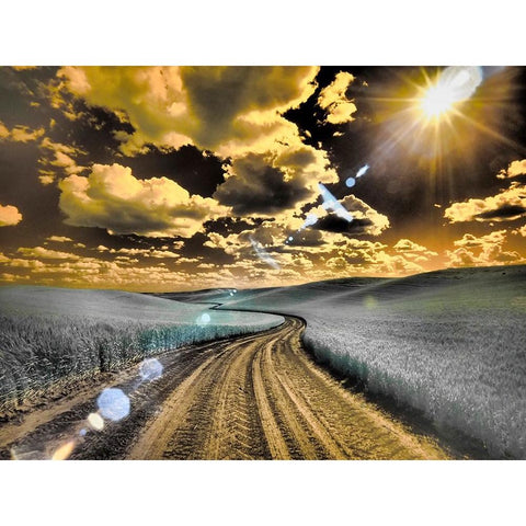 USA-Washington State-Palouse-Country backroad through spring crops Black Modern Wood Framed Art Print by Eggers, Terry