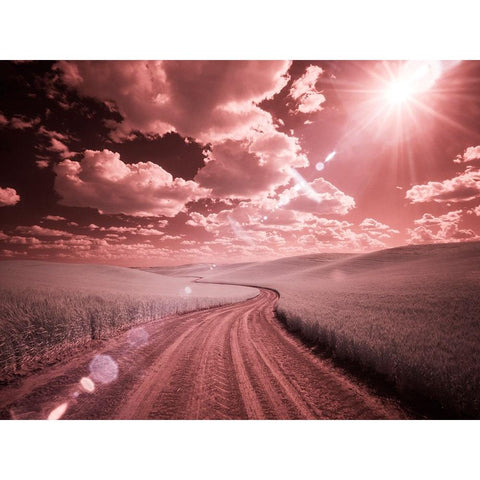 USA-Washington State-Palouse-Country backroad through spring crops Black Modern Wood Framed Art Print by Eggers, Terry