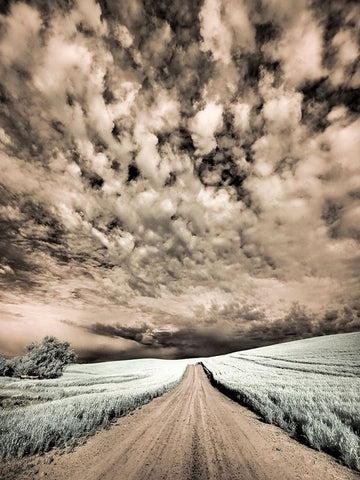 USA-Washington State-Palouse-Backcountry road through wheat field and clouds White Modern Wood Framed Art Print with Double Matting by Eggers, Terry