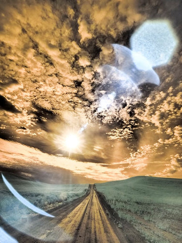 USA-Washington State-Palouse-Backcountry road through wheat field and clouds Black Ornate Wood Framed Art Print with Double Matting by Eggers, Terry