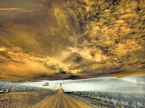 USA-Washington State-Palouse-Backcountry road through wheat field and clouds Black Ornate Wood Framed Art Print with Double Matting by Eggers, Terry