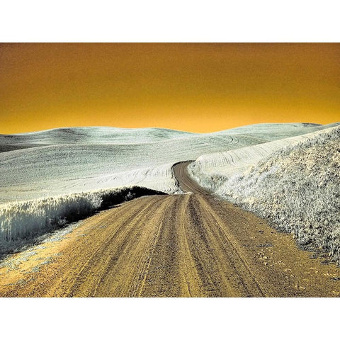USA-Washington State-Palouse region-Country backroad through wheat fields Gold Ornate Wood Framed Art Print with Double Matting by Eggers, Terry
