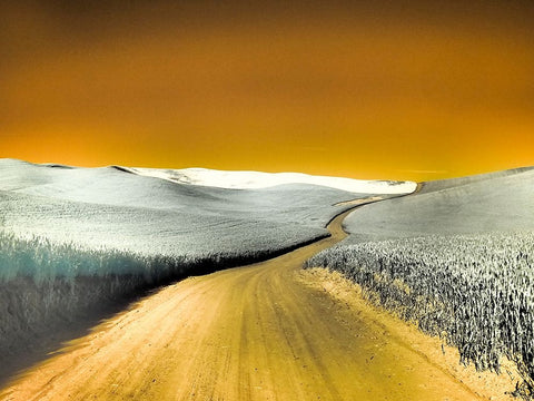 USA-Washington State-Palouse region-Country backroad through wheat fields White Modern Wood Framed Art Print with Double Matting by Eggers, Terry