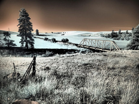 USA-Washington State-Palouse region-Bridge across Palouse river Black Ornate Wood Framed Art Print with Double Matting by Eggers, Terry