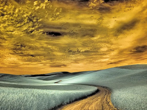 USA-Washington State-Palouse region-winding backcountry road through wheat fields White Modern Wood Framed Art Print with Double Matting by Eggers, Terry