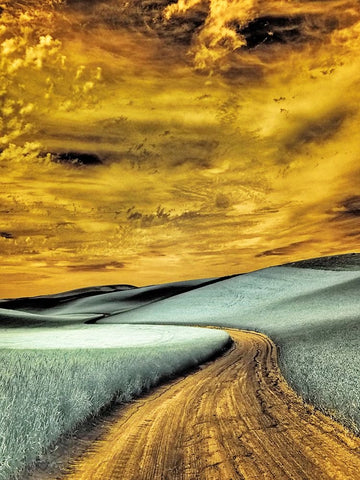 USA-Washington State-Palouse region-winding backcountry road through wheat fields Black Ornate Wood Framed Art Print with Double Matting by Eggers, Terry