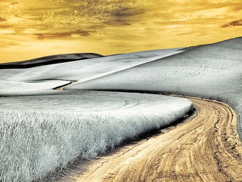 USA-Washington State-Palouse region-winding backcountry road through wheat fields Black Ornate Wood Framed Art Print with Double Matting by Eggers, Terry