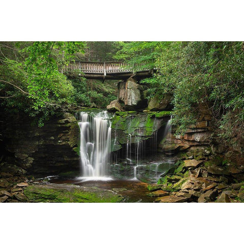 First or Upper Ekalaka Falls-Blackwater Falls State Park-West Virginia Gold Ornate Wood Framed Art Print with Double Matting by Majchrowicz, Alan