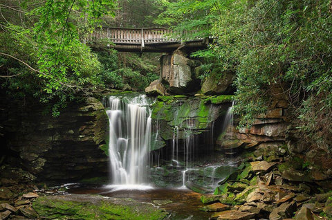 First or Upper Ekalaka Falls-Blackwater Falls State Park-West Virginia White Modern Wood Framed Art Print with Double Matting by Majchrowicz, Alan