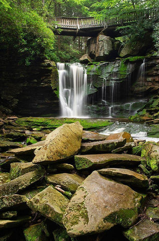 First or Upper Ekalaka Falls-Blackwater Falls State Park-West Virginia White Modern Wood Framed Art Print with Double Matting by Majchrowicz, Alan