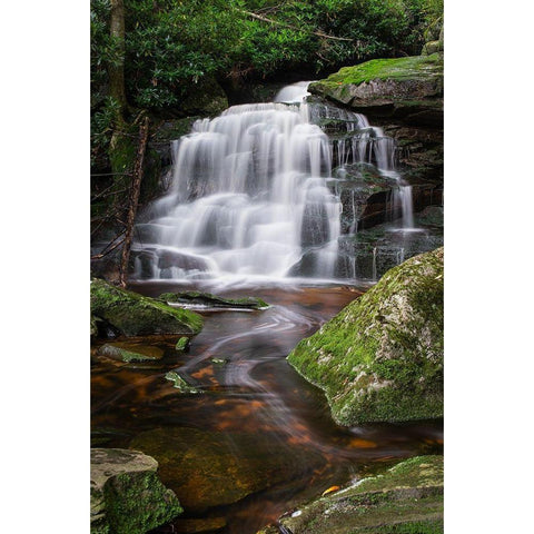 Second Ekalaka Falls-Blackwater Falls State Park-West Virginia Gold Ornate Wood Framed Art Print with Double Matting by Majchrowicz, Alan