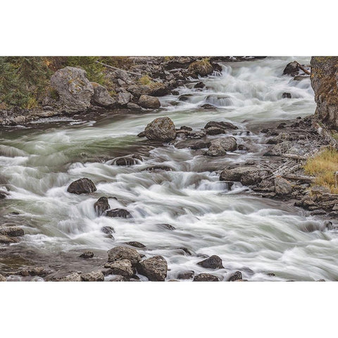 Firehole River-Firehole Canyon drive-Yellowstone National Park-Wyoming Gold Ornate Wood Framed Art Print with Double Matting by Jones, Adam