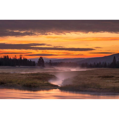 Madison River at sunrise-Yellowstone National Park-Wyoming Gold Ornate Wood Framed Art Print with Double Matting by Jones, Adam