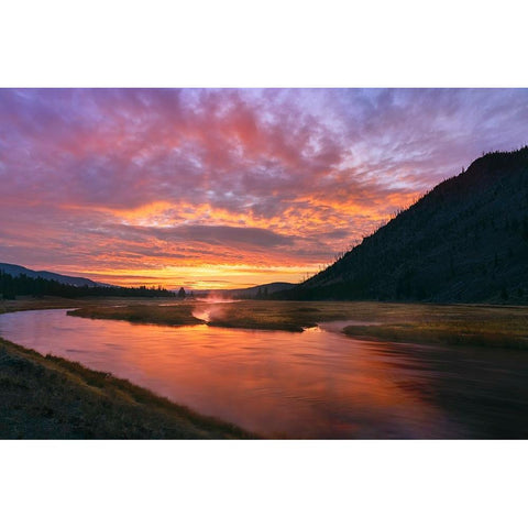 Madison River at sunrise-Yellowstone National Park-Wyoming Gold Ornate Wood Framed Art Print with Double Matting by Jones, Adam