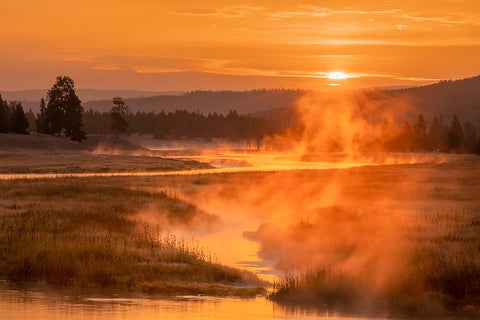 Madison River at sunrise-Yellowstone National Park-Wyoming White Modern Wood Framed Art Print with Double Matting by Jones, Adam