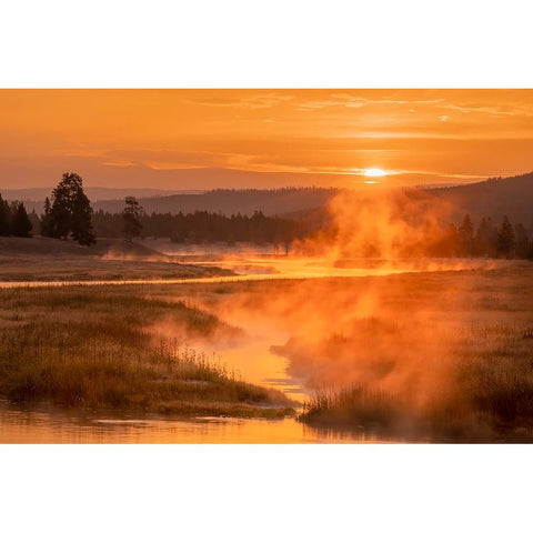 Madison River at sunrise-Yellowstone National Park-Wyoming Gold Ornate Wood Framed Art Print with Double Matting by Jones, Adam