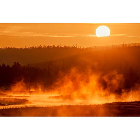 Madison River at sunrise-Yellowstone National Park-Wyoming Gold Ornate Wood Framed Art Print with Double Matting by Jones, Adam