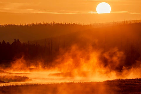 Madison River at sunrise-Yellowstone National Park-Wyoming White Modern Wood Framed Art Print with Double Matting by Jones, Adam