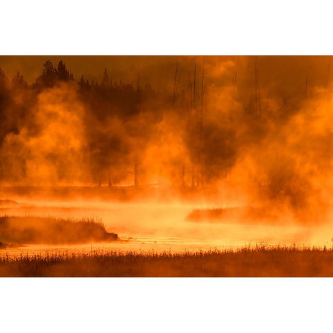 Madison River at sunrise-Yellowstone National Park-Wyoming Gold Ornate Wood Framed Art Print with Double Matting by Jones, Adam