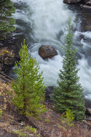 Flowing water in Firehole River-Yellowstone National Park-Wyoming White Modern Wood Framed Art Print with Double Matting by Jones, Adam