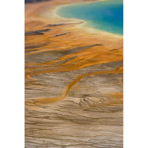 WY, Yellowstone Grand Prismatic Spring Gold Ornate Wood Framed Art Print with Double Matting by Paulson, Don