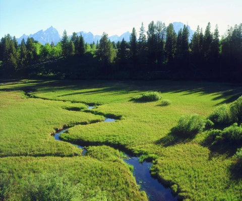 WY, Grand Tetons Grand Tetons and a lush meadow White Modern Wood Framed Art Print with Double Matting by Talbot Frank, Christopher