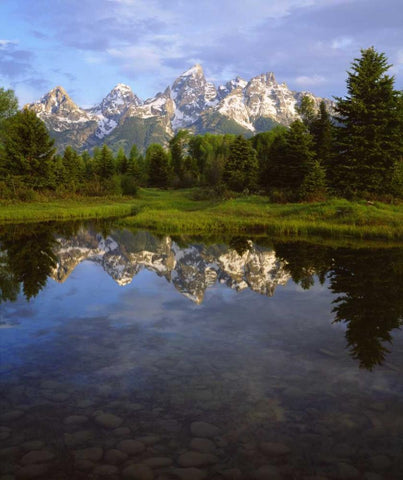Wyoming Grand Tetons reflect in the Snake River White Modern Wood Framed Art Print with Double Matting by Talbot Frank, Christopher