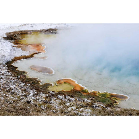 USA, Wyoming, Yellowstone NP Silex Spring pool Gold Ornate Wood Framed Art Print with Double Matting by Bush, Marie