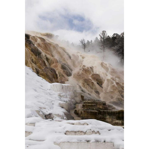 Wyoming, Yellowstone Mammoth Hot Springs scenic Gold Ornate Wood Framed Art Print with Double Matting by Bush, Marie