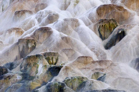 Wyoming, Yellowstone NP Palette Spring waterfall White Modern Wood Framed Art Print with Double Matting by Bush, Marie
