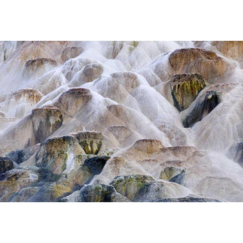 Wyoming, Yellowstone NP Palette Spring waterfall Gold Ornate Wood Framed Art Print with Double Matting by Bush, Marie
