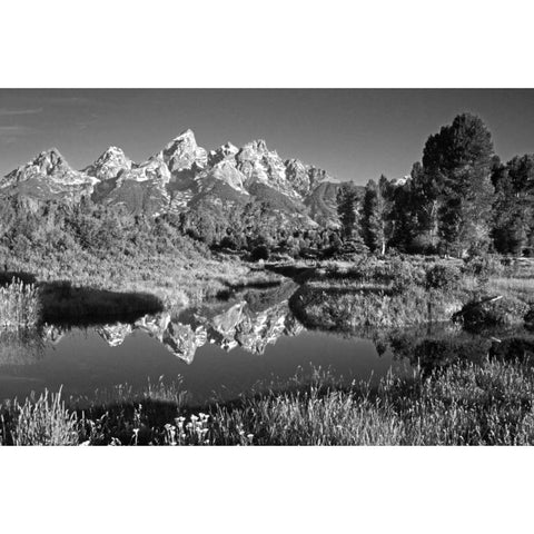 USA, Wyoming, Grand Teton NP Mountain sunrise White Modern Wood Framed Art Print by Flaherty, Dennis