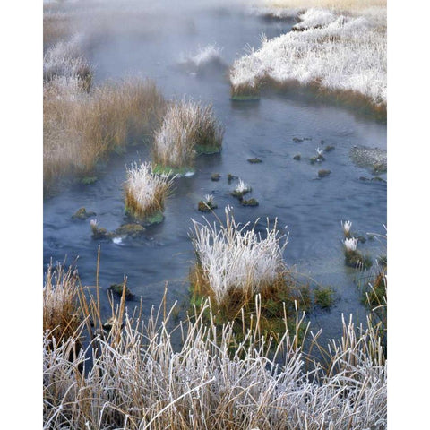 Wyoming, Yellowstone NP Frost along White Creek Gold Ornate Wood Framed Art Print with Double Matting by Terrill, Steve