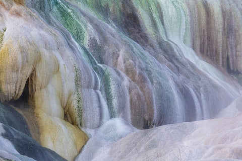 USA- Wyoming- Yellowstone National Park. Mammoth Hot Springs White Modern Wood Framed Art Print with Double Matting by Gulin, Darrell