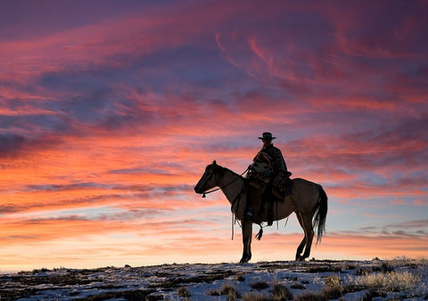 USA- Shell- Wyoming. Hideout Ranch cowgirl silhouetted on horseback at sunset. Black Ornate Wood Framed Art Print with Double Matting by Gulin, Darrell