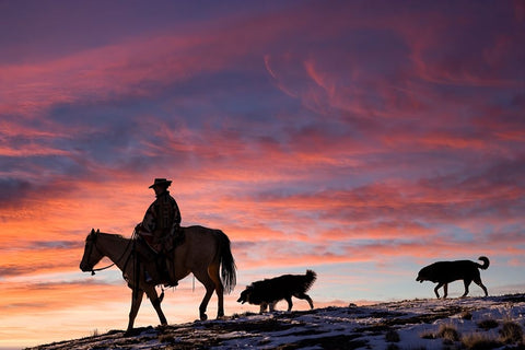 USA- Shell- Wyoming. Hideout Ranch cowgirl and her two dogs horseback riding at sunset. Black Modern Wood Framed Art Print by Gulin, Darrell