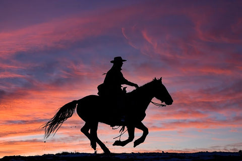 USA- Shell- Wyoming. Hideout Ranch cowgirl silhouetted on horseback at sunset. Black Modern Wood Framed Art Print by Gulin, Darrell