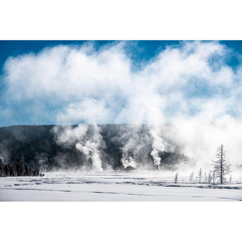 USA-Yellowstone-Norris Geyser Basin White Modern Wood Framed Art Print by Theodore, George and Marilu